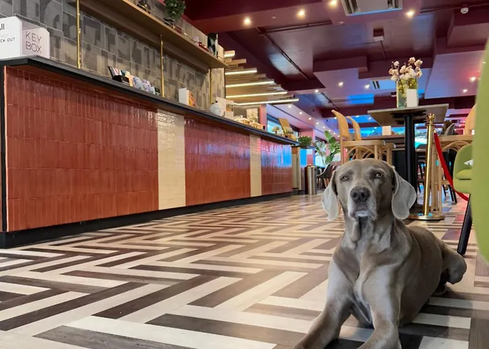 Mercure Cinecittà Rome