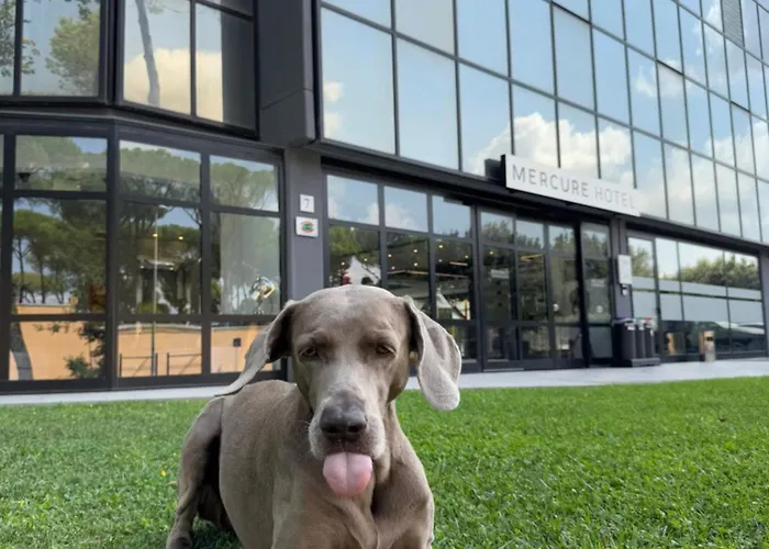 Mercure Cinecittà Hotel Rome